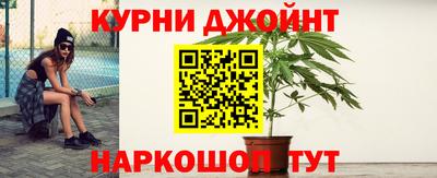 крисы Будённовск