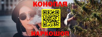 крисы Будённовск
