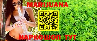 крисы Будённовск