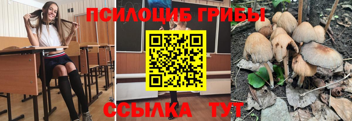 Псилоцибиновые грибы Magic Shrooms Нарьян-Мар